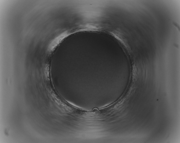 X0000102341455200808221620