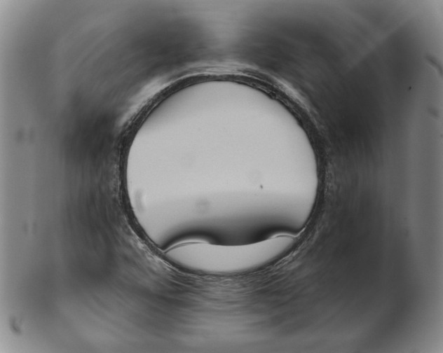 X0000102341456200808221620