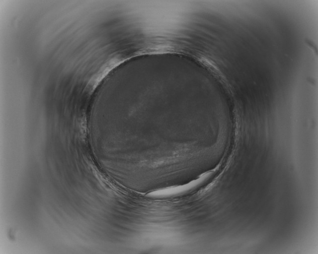 X0000102341457200808221620