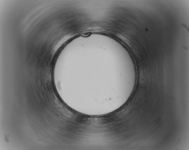 X0000102341458200808221620