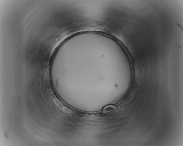 X0000102341460200808221620