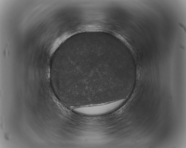 X0000102341461200808221620