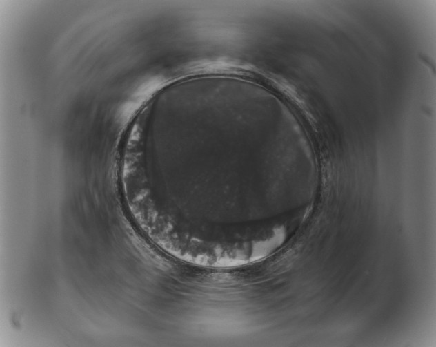 X0000102341463200808221620