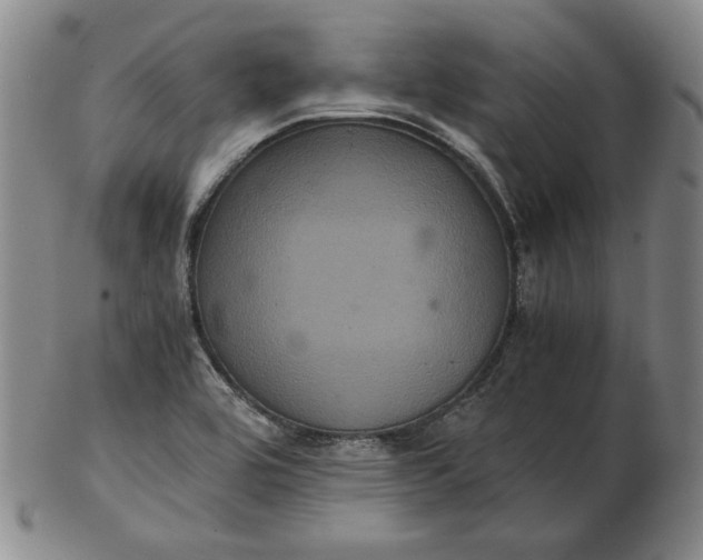 X0000102341464200808221620