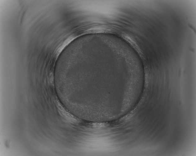 X0000102341465200808221620