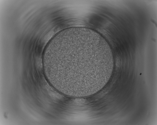 X0000102341466200808221620