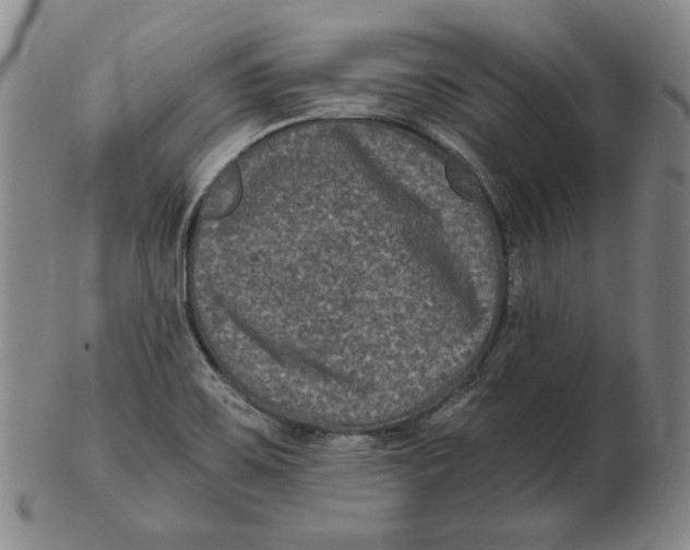 X0000102341467200808221620