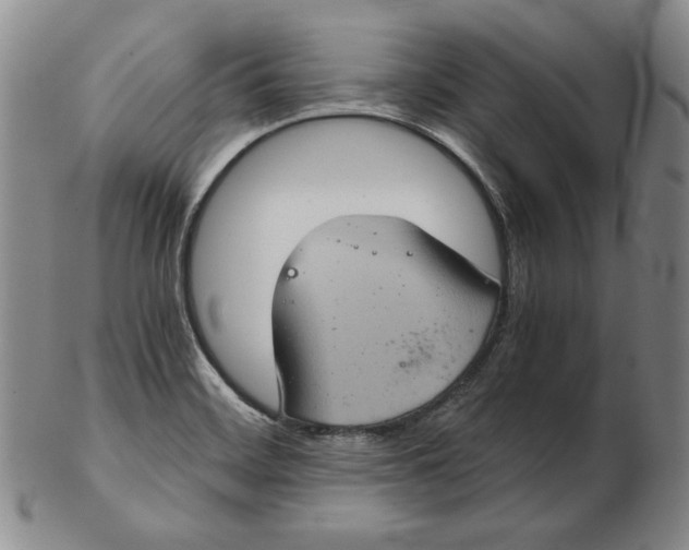 X0000102341468200808221620