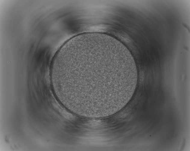 X0000102341470200808221620