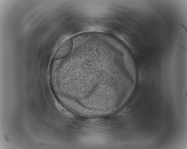 X0000102341471200808221620