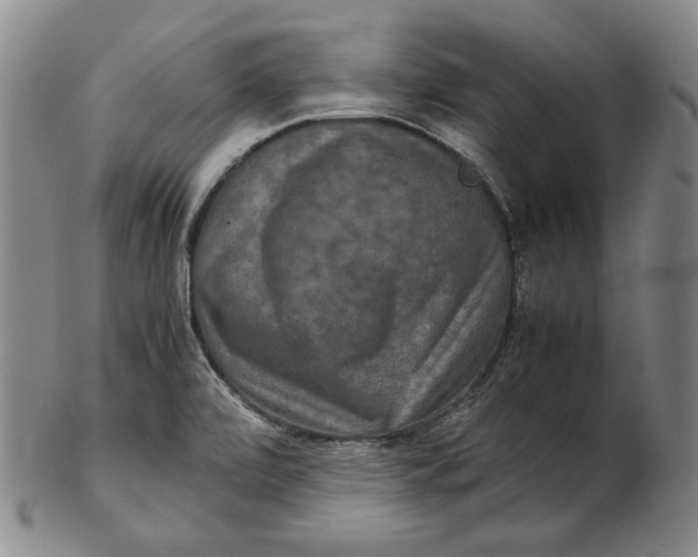 X0000102341472200808221620