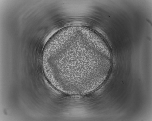 X0000102341473200808221620