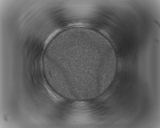 X0000102341474200808221620