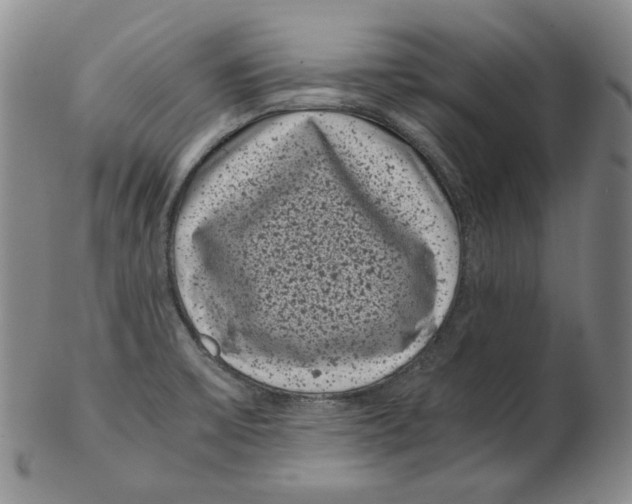 X0000102341475200808221620