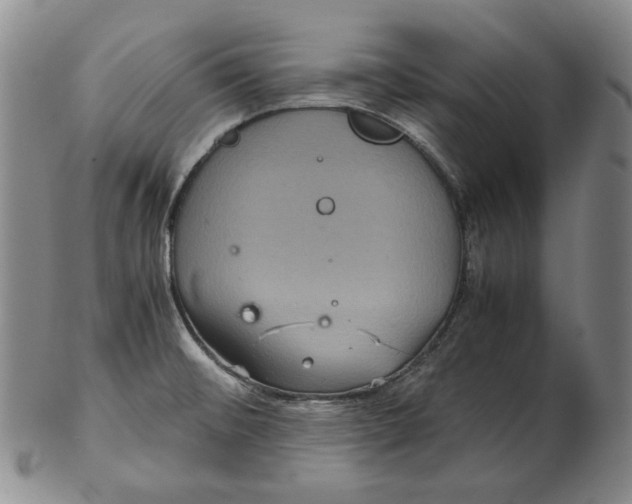 X0000102341476200808221620