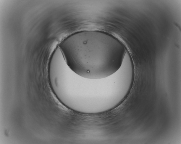 X0000102341477200808221620