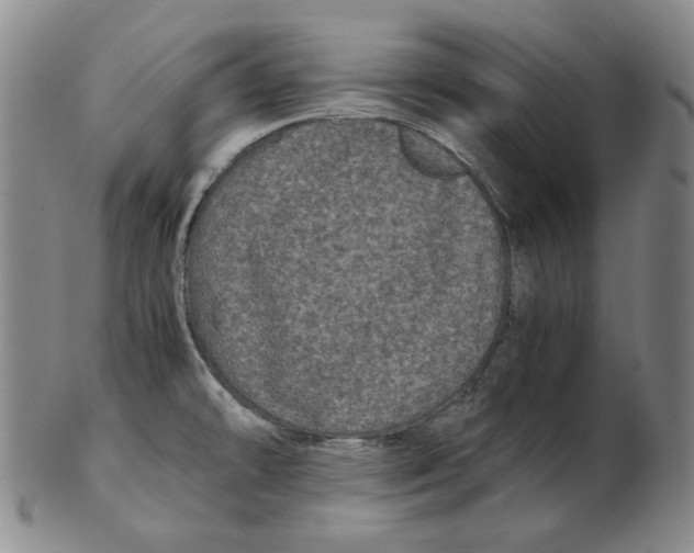 X0000102341478200808221620