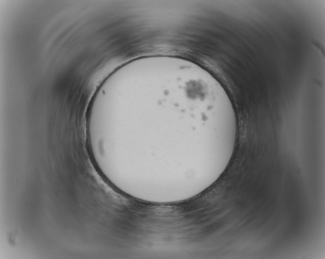 X0000102341479200808221620