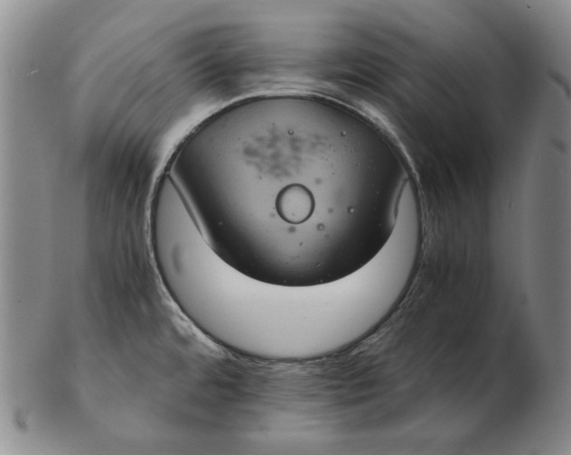 X0000102341480200808221620