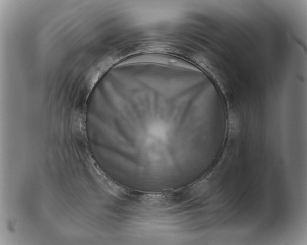 X0000102341481200808221620