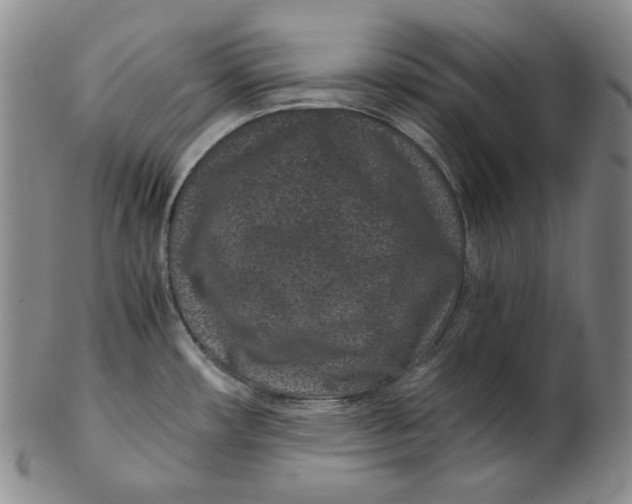 X0000102341482200808221620