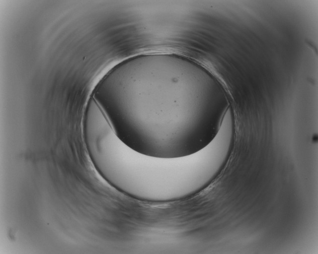 X0000102341484200808221620