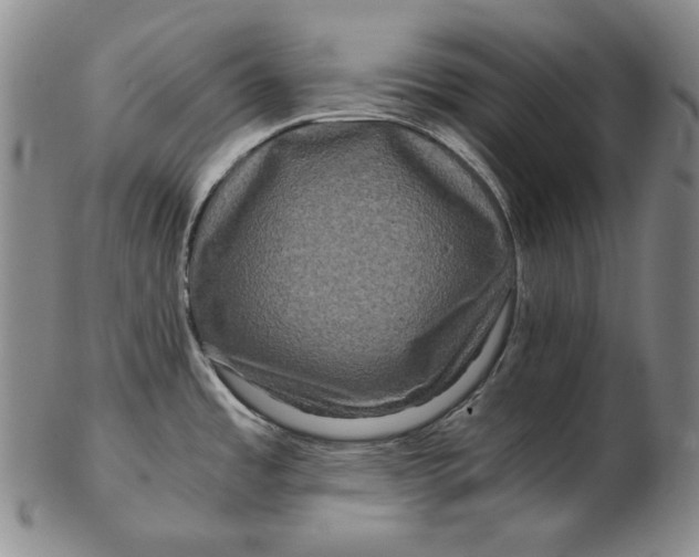 X0000102341485200808221620