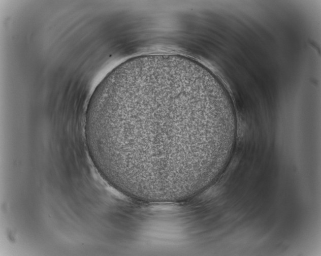 X0000102341486200808221620