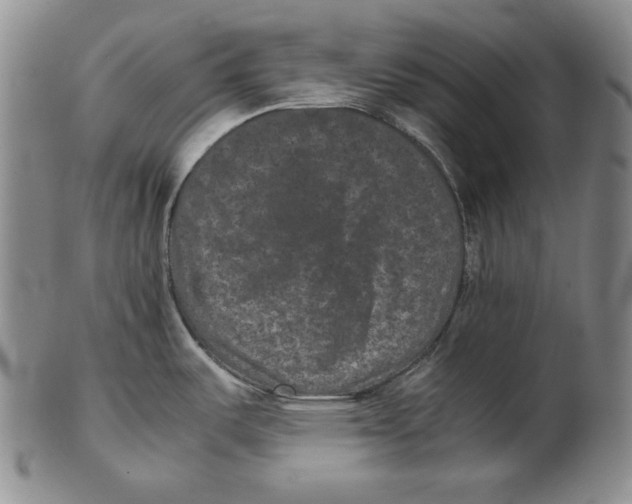 X0000102341487200808221620