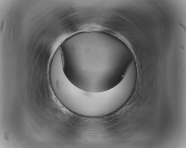 X0000102341488200808221620