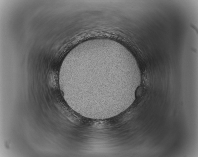 X0000102341490200808221619