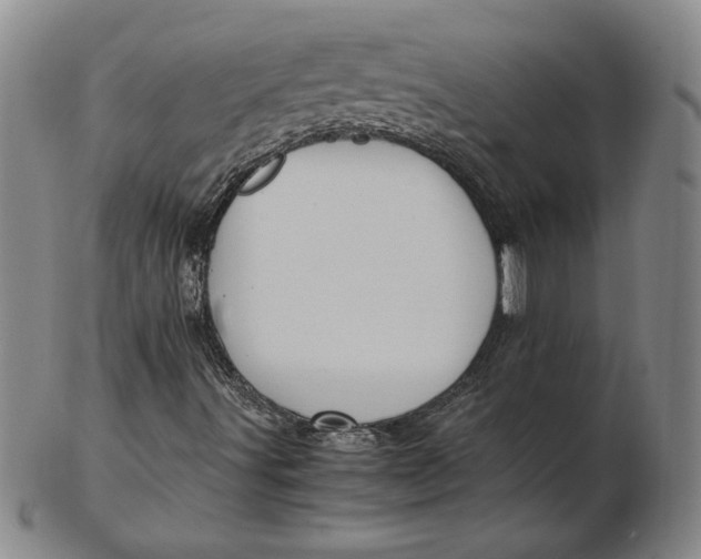 X0000102341491200808221619