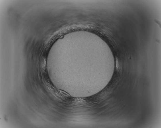 X0000102341492200808221619