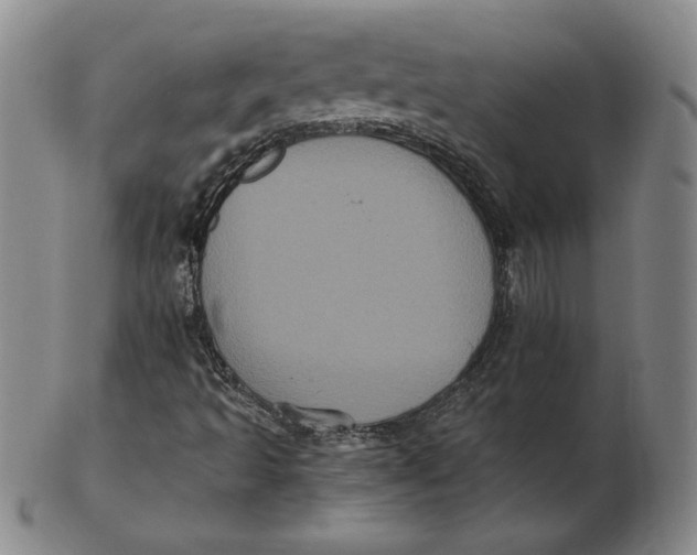 X0000102341493200808221619