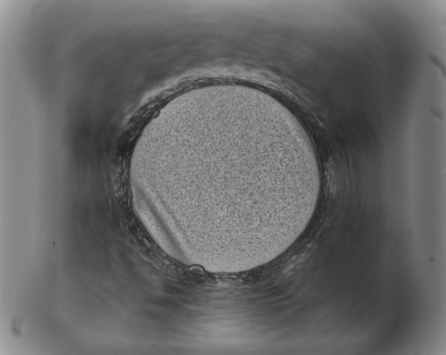 X0000102341494200808221619