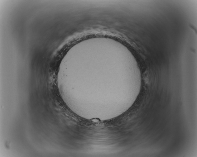 X0000102341495200808221619