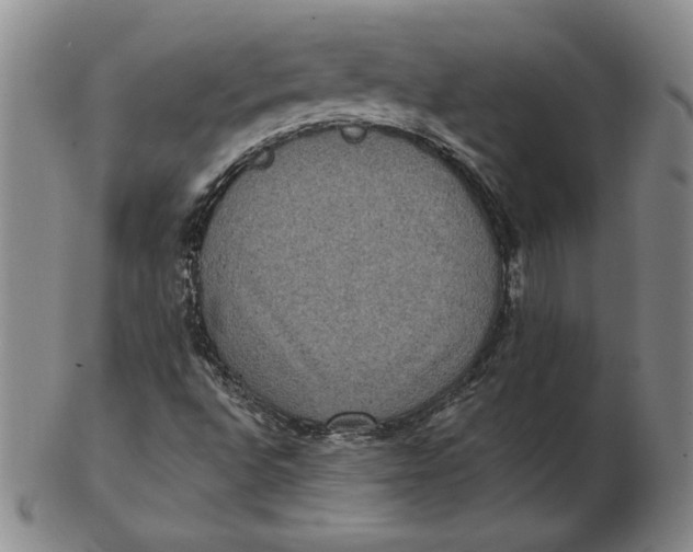 X0000102341496200808221619