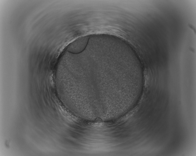 X0000102341497200808221619