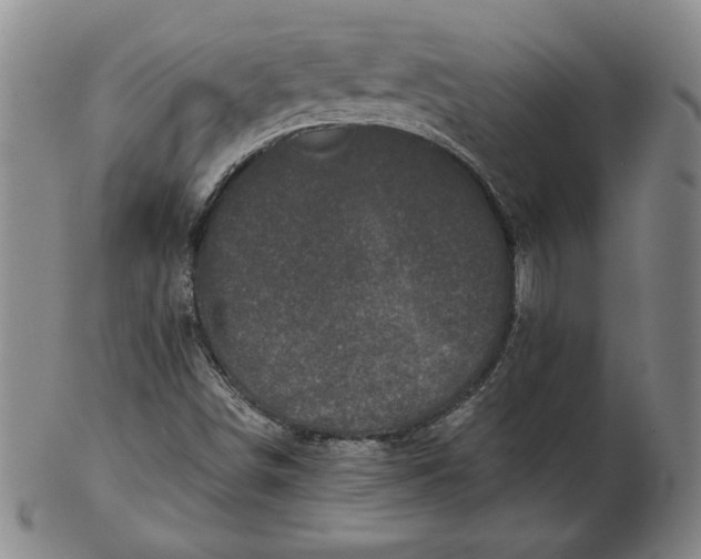 X0000102341498200808221619