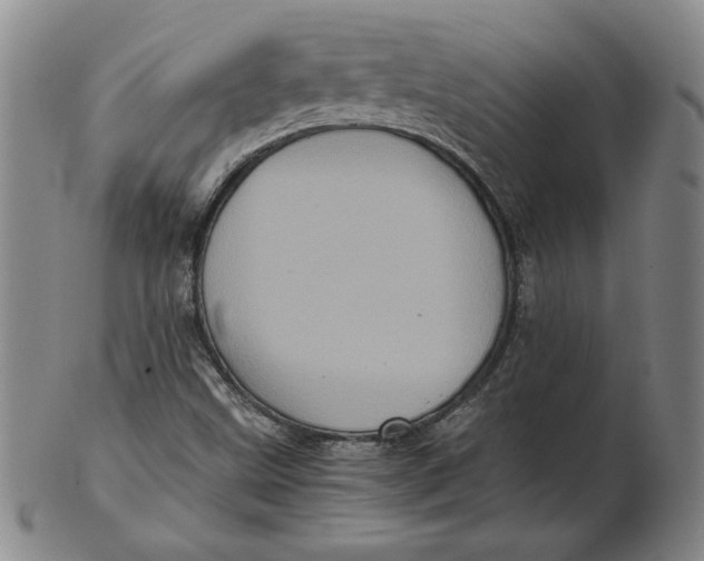 X0000102341499200808221619