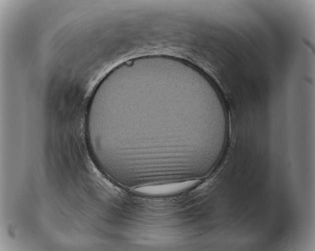 X0000102341500200808221619