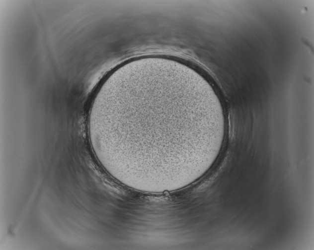 X0000102341501200808221619