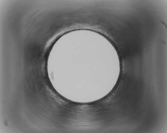 X0000102341502200808221619