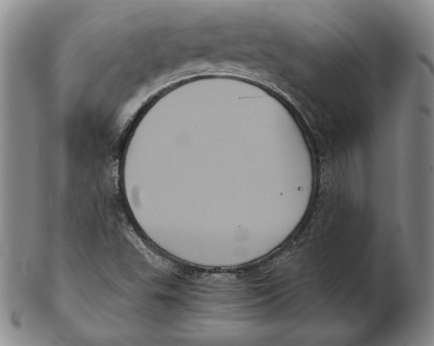 X0000102341503200808221619