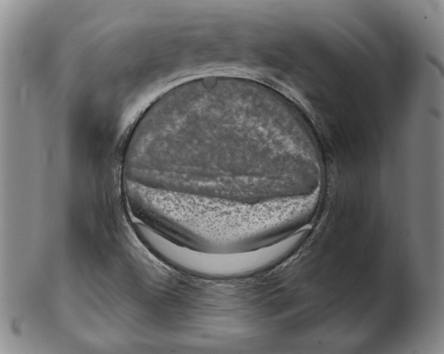 X0000102341504200808221619