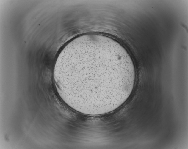 X0000102341505200808221619