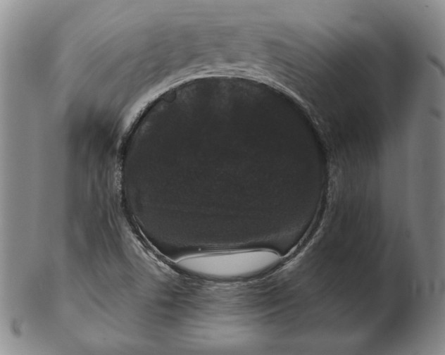 X0000102341506200808221619