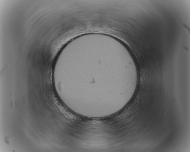 X0000102341507200808221619