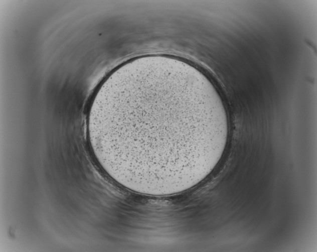 X0000102341509200808221619