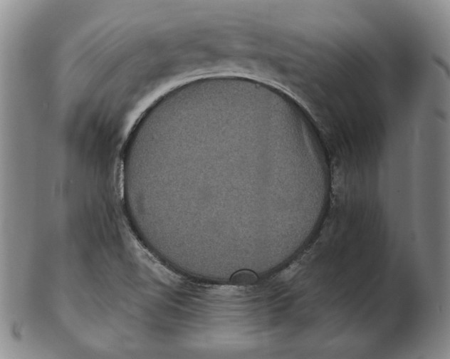 X0000102341510200808221619